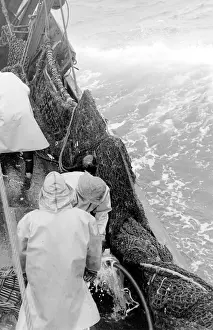 Life on a North Sea trawler