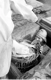 Life on a North Sea trawler