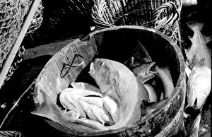 Life on a North Sea trawler
