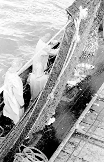 Life on a North Sea trawler
