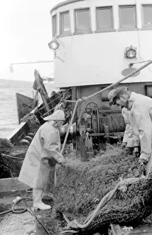 Life on a North Sea trawler