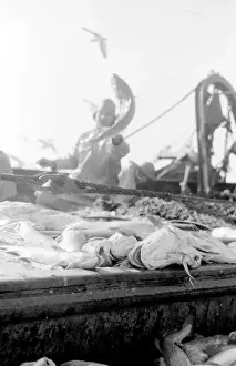 Life on a North Sea trawler