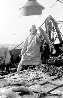 Life on a North Sea trawler