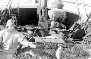Life on a North Sea trawler