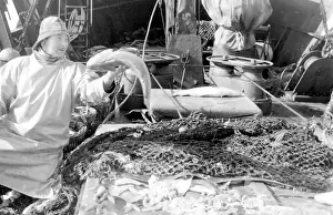 Life on a North Sea trawler