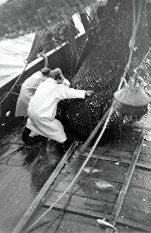 Hauling Prints: Life on a North Sea trawler -- fishermen at work on deck