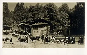 Iconic Prints: Life of William Tell - Open-air performance - Switzerland