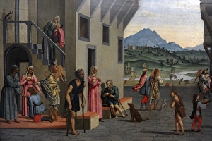 Images Dated 15th February 2012: Life of the Young Tobias byFrancesco Granacci (1469-1543)