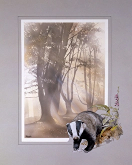 Airbrush Gallery: Light through the trees with Badger border