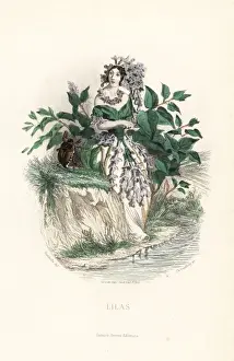 Petals Prints: Lilac flower fairy, Syringa vulgaris