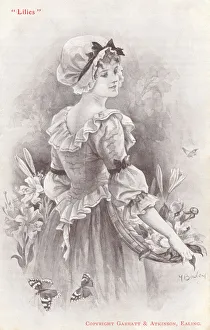 Lilies
