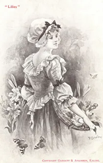 Lilies Prints: Lilies