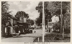 Spiritualists Gallery: Lily Dale, NY, USA - South Street