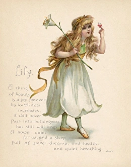 Personified Gallery: Lily / Language of Flowers