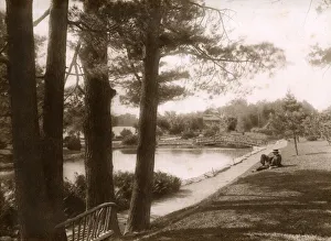 Lily Gallery: Lily Pond and bridge, Ottawa, Ontario, Canada
