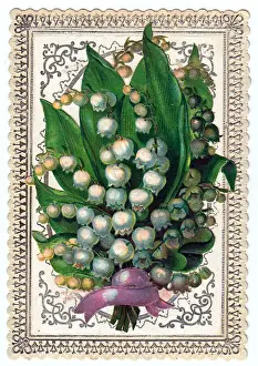 Lily of the valley on a greetings card