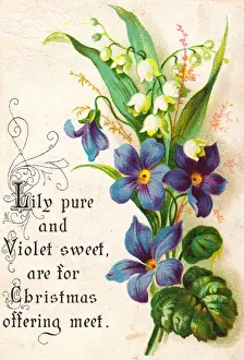 Violets Prints: Lily of the valley and violets on a Christmas card