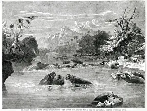 Hippo Prints: Limpopo River, Mozambique, south-east Africa Date: 1856