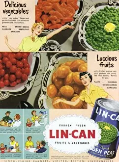 Adverts Collection: Lin-Can advertisement, 1953