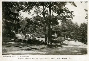 Scranton Prints: Linden Drive - Nay Aug Park, Scranton Pennsylvania, USA