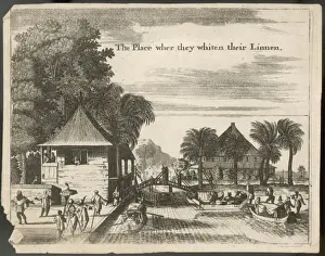 Bleaching Prints: Linen, East Indies