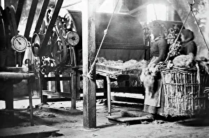 Breaker Prints: Linen manufacture, Tow breaker machine