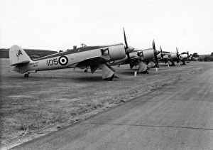 Including Collection: A lineup of Hawker Sea Fury FB11s, including VW242