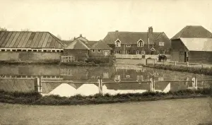 Give Prints: Lingfield Training Colony, Surrey
