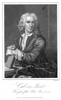 Carl Collection: Linnaeus (Evans)