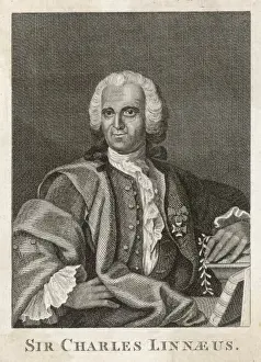 Linnaeus Prints: Linnaeus / Naturalist / Anon