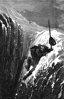 Slips Gallery: Linnaeus Slips