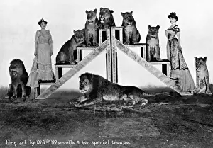 Circuses Prints: Lion act