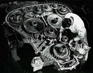 Lion assembly