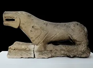 Lioness Prints: The Lion of Baena