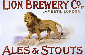 Brewing Prints: Lion Brewery Company