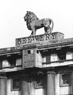 Images Dated 14th April 2011: Lion Brewery Sign