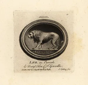 Antiquarian Prints: Lion in cornelian and dactylotheca