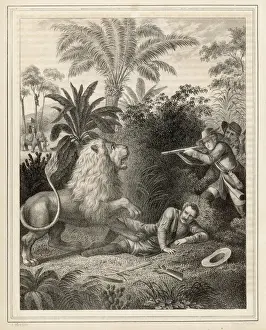 Mane Prints: Lion defends itself against human attackers