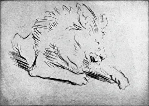 Gerald Prints: Lion Etching