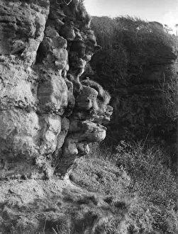 Ayrshire Prints: Lion Face Rock Formation