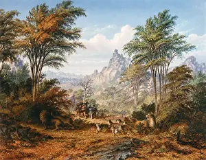 Zululand Prints: The Lion Family, by Thomas Baines