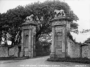 Oblique Prints: Lion Gates, Castlerock Castle
