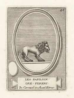 Ridolfino Venuti Prints: A lion holding a butterfly in its mouth