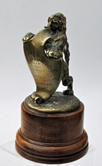 Images Dated 21st November 2011: A lion holding a shield - WWI