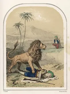 Lion and Hunters