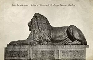 Imposing Gallery: Lion by Landseer, Nelsons Column, Trafalgar Square, London