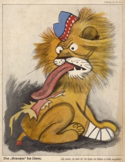 Wounds Gallery: Lion Licks Wounds