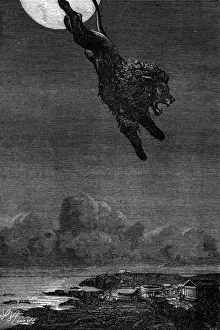 Lion of Nemea /