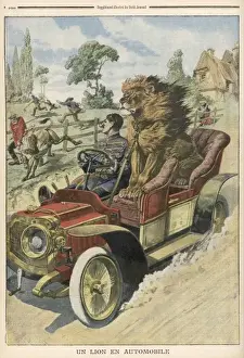 Amused Prints: Lion in Passenger Seat