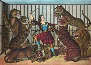 The lion queen
